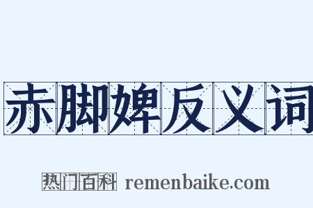 赤脚婢反义词是什么意思的图片